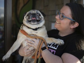 Jen Boutet is pictured with her pug, Franklin, on Wednesday, May 12, 2021.