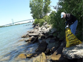 The pandemic has created a new source of trash to dirty Canada's shorelines. In this June 14, 2014, file photo, Terry Kennedy joins other volunteers as they clean the Windsor shoreline during that year's Great Canadian Shoreline Cleanup.