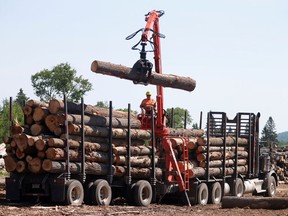 FILE PHOTO: A worker unloads logs at the Murray Brothers Lumber Company in Madawaska, Ontario, Canada, July 4, 2018.