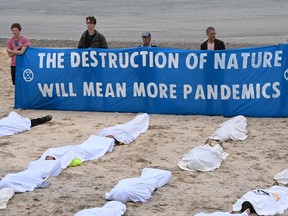 Climate change is bringing a higher risk for the spread of disease. In this June 11, 2021, file photo, activists pose as dead bodies during a climate change protest in Cornwall, Great Britain, during the summit of G7 leaders from Canada, France, Germany, Italy, Japan, the UK and the United States.