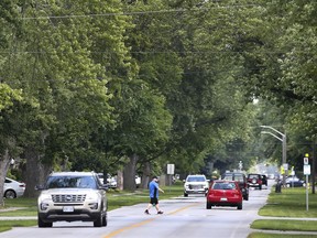 A tree-lined Laurier Drive in LaSalle is shown on Friday, July 30, 2021. The town was once again named one of the safest communities in Canada.
