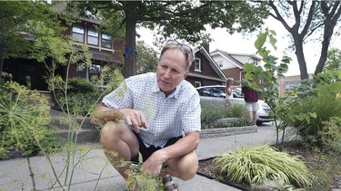 Removal order. Rob Thibert is shown in front of his home in the 1300 block of Victoria Avenue in Windsor on Friday, July 30, 2021. He and three neighbours have been ordered by the city to remove plants and "personal property" along the public right-of-way fronting their homes.