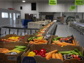 Fresh vegetables are packed into boxes and ready for shipment inside the newly unveiled Leamington Regional Food Hub, on Thursday, August 12, 2021.