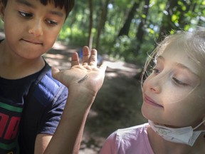 Lena Beneteau, 7, checks out a centipede as it crawls on the arm of Rayn Farooqui, 9, during summer camp at the Natural Pathways Forest and Nature School in Harrow, on Monday, August 2, 2021.
