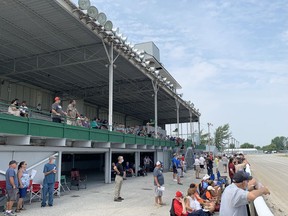 Fans in the stands on the opening day of harness-racing season at Leamington Raceway.