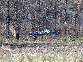 Forensics officers with OPP examine a part of Walpole Island First Nation on April 13, 2021. Human remains were found in an area of Walpole Island First Nation on March 17.