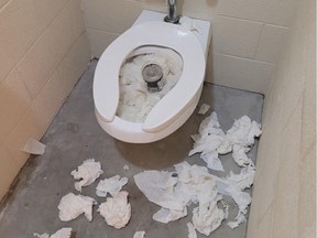 Vandalism, including clogged toilets, trash can fires and damaged change tables, have prompted the Town of Tecumseh to close its Optimist Park washrooms for the season.