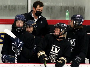 Matt Beaudoin stepped down as head coach of the LaSalle Vipers on Friday along with assistant coach Eric Noel.