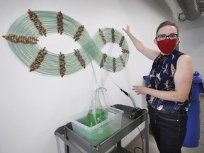 Jennifer Willet, a professor at the University of Windsor is shown at the INCUBATOR Art Lab Studio in downtown Windsor on Wednesday, September 15, 2021.