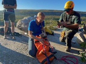 Dog rescued from 40-foot crevice.