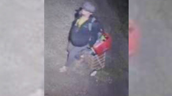 Windsor police release more photos of arson suspect