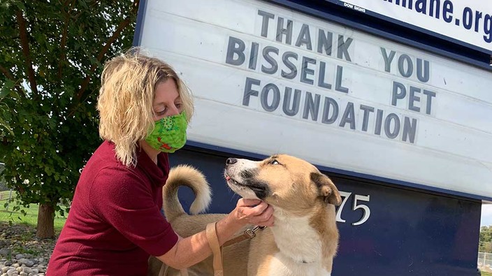 Dogs from Oklahoma ready for adoption at Windsor-Essex Humane Society