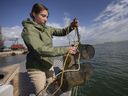 Lydia Paulic, eine Doktorandin am Great Lakes Institute of Environmental Research, holt am Mittwoch, den 20. Oktober 2021, Fischfallen hoch, mit denen nördlicher Madtom, ein gefährdeter Fisch, vor der Küste von Peche Island gefangen wurde.