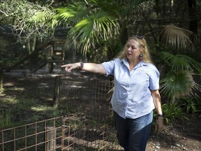 In this July 20, 2017, file photo, Carole Baskin, founder of Big Cat Rescue, walks the property near Tampa, Fla.