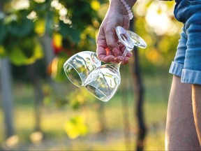 Wineglass in female hand holding empty drinking glass at vineyard.