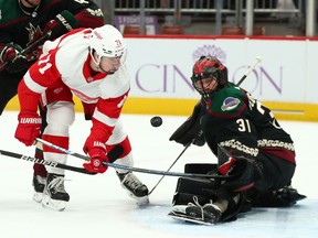 Detroit Red Wings center Dylan Larkin has a shot on goal blocked by Arizona Coyotes goalie Scott Wedgewood in the first period at Gila River Arena.