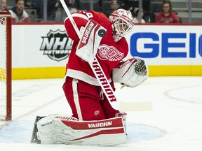 Detroit Red Wings goaltender Alex Nedeljkovic makes a save during the first period against the St. Louis Blues at Little Caesars Arena.