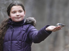 A bird eats out of 10-year-old Allie Brown's hand at Ojibway Park in Windsor on Tuesday, December 21, 2021.