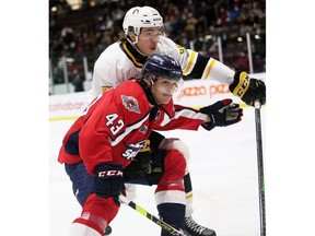 Former Windsor Spitfires' defenceman Louka Henault (43) has signed an AHL contract with Hartford.