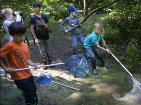 Chase Morin, 6, right, and Gael, 5, left, use their nets to scoop tadpoles on the first day of summer camp at the Natural Pathways Forest and Nature School in Harrow, on Monday, August 2, 2021.