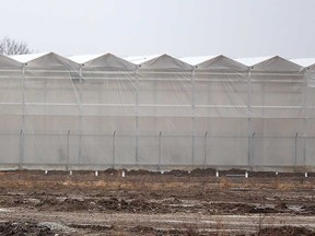 A greenhouse and agricultural business location under construction in the Leamington area is shown in this January 2020 file photo.