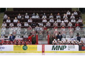 Actual fans will replace cutouts of celebrities are in the seats at the WFCU Centre on Thursday when the Windsor Spitfires play the Guelph Storm.