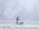 An Essex County OPP K9 unit searches a field near Concession Road 11 in the Tecumseh area during a snowfall on February 2, 2022.