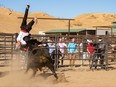 Johnny Knoxville gets tossed by a bull in Jackass Forever.