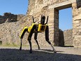 Boston Dynamics' robot, Spot, is pictured at Pompeii.