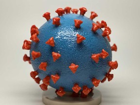 A 3-D model of the SARS-CoV-2 particle - the virus behind COVID-19.