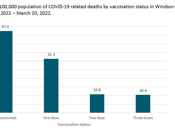  A chart showing rates of COVID-19 deaths in Windsor-Essex from Jan. to March 2022, categorized by vaccination status.