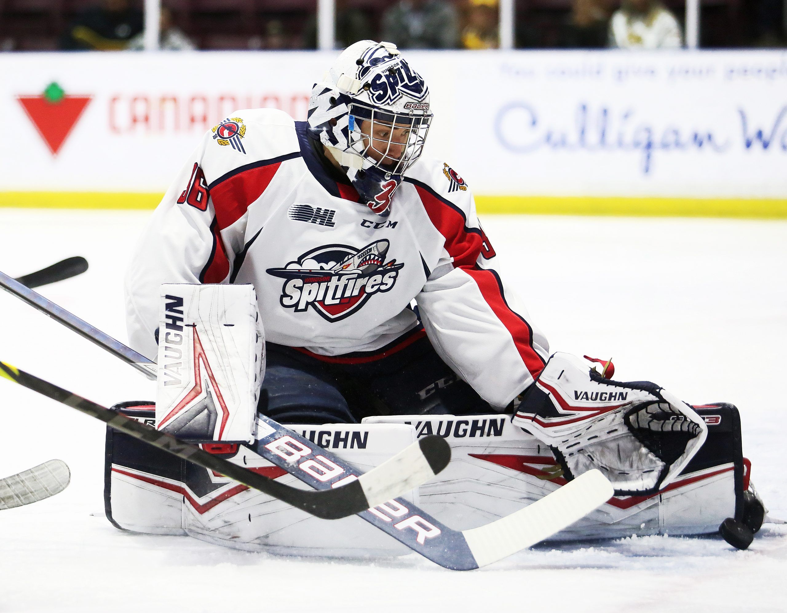 Playoff Preview: #1 Spitfires Faceoff versus the #7 Rangers - Windsor  Spitfires