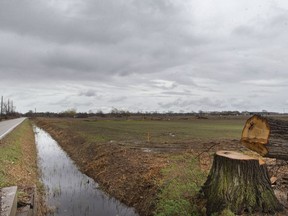 Trees are cleared at the site of the future battery plant, on E.C. Row Avenue East and Banwell Road, on Monday, April 25, 2022.