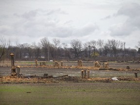 Trees are cleared at the site of the future battery plant, on E.C. Row Avenue East and Banwell Road, on Monday, April 25, 2022.