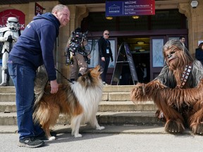 A dog reacts to Will Hyde from Darlington as he dresses as the Star Wars character Chewbacca on the first day of the Scarborough Sci-Fi weekend at the seafront Spa Complex on April 09, 2022 in Scarborough, England. (Photo by Ian Forsyth/Getty Images)