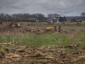 In this April 25, 2022, file photo, trees are cleared at the site of the future battery plant, on E.C. Row Avenue East and Banwell Road in Windsor.