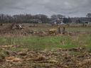 In this file photo from April 25, 2022, trees are felled at the site of the future battery factory, on EC Row Avenue East and Banwell Road in Windsor.
