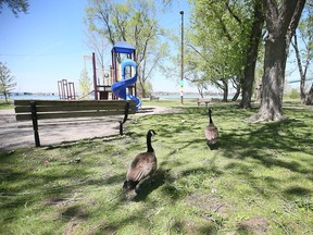 A section of McKee Park in Windsor is shown on Friday, May 13, 2022.