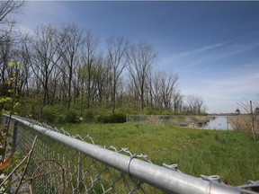 A section of the banks of Ojibway, west of the Broadway drain, is shown on Thursday, May 12, 2022.