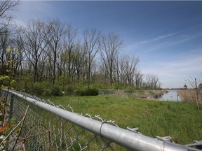 A section of the Ojibway Shores property just west of the Broadway drain is shown on Thursday, May 12, 2022.