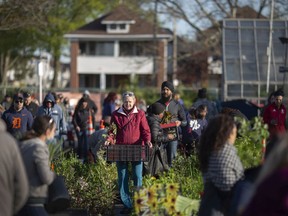 After a two-year pandemic hiatus, the plant-loving crowds returned on Saturday, May 7, 2022, to the 25th annual Paul Martin Garden Perennial Plant Sale at the Lanspeary Park Greenhouse.