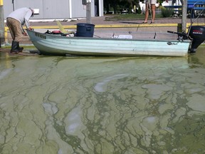 Blue-green algae outbreaks like this one seen at Colchester Harbour on Lake Erie in September 2017 are among the threats to local water quality.