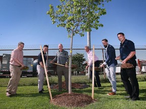 Chris Gibb, left, president of the Amherstburg Community Foundation, was joined by Amherstburg Mayor Aldo DiCarlo, councillor Don McArthur, town CAO Peter Simmons, Diageo sales director Gareth King and Josh Reit, Diageo site director, are shown during a ceremonial tree planting at the Amherstburg business on Friday, June 3, 2022.