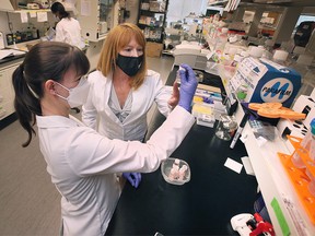 Bre-Anne Fifield, left, a research associate and Dr. Lisa Porter with the University of Windsor are shown in a lab on Tuesday, June 21, 2022.