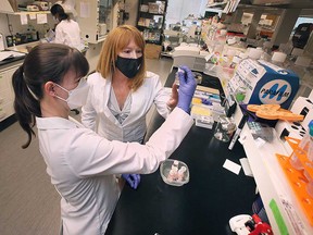 Dr. Lisa Porter of the University of Windsor (right) supervises research associate Bre-Anne Fifield in a lab on June 21, 2022.