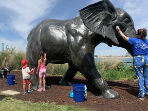 Georgia Crescenzi, 6, takes a turn scrubbing down Tembo with help from her three year-old brother Leo Crescenzi, and the help of a city staff member, on Saturday, June 25, 2022.