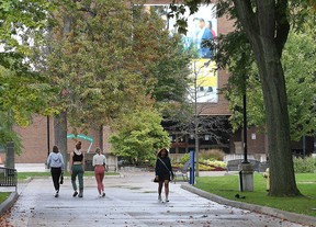 U of Windsor web sites nonetheless down in week-long ‘cybersecurity incident’