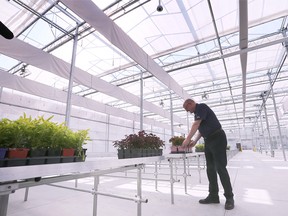 The City of Windsor unveiled a new greenhouse complex at Jackson Park on Thursday, July 28, 2022. Windsor Mayor Drew Dilkens is shown at the new facility.