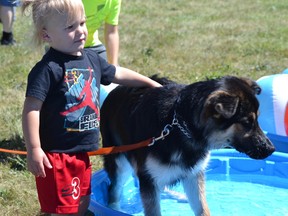 Two-year-old Wyatt Brown frolics with family dog Nahla in one of several small wading pools Saturday, July 9, 2022, at the pet-friendly Riverside Pet Fest sponsored by Pet Valu Riverside.