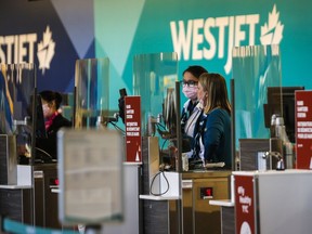 Westjet employees wearing masks wait for passengers at the Calgary Airport in Calgary, Friday, Oct. 30, 2020.